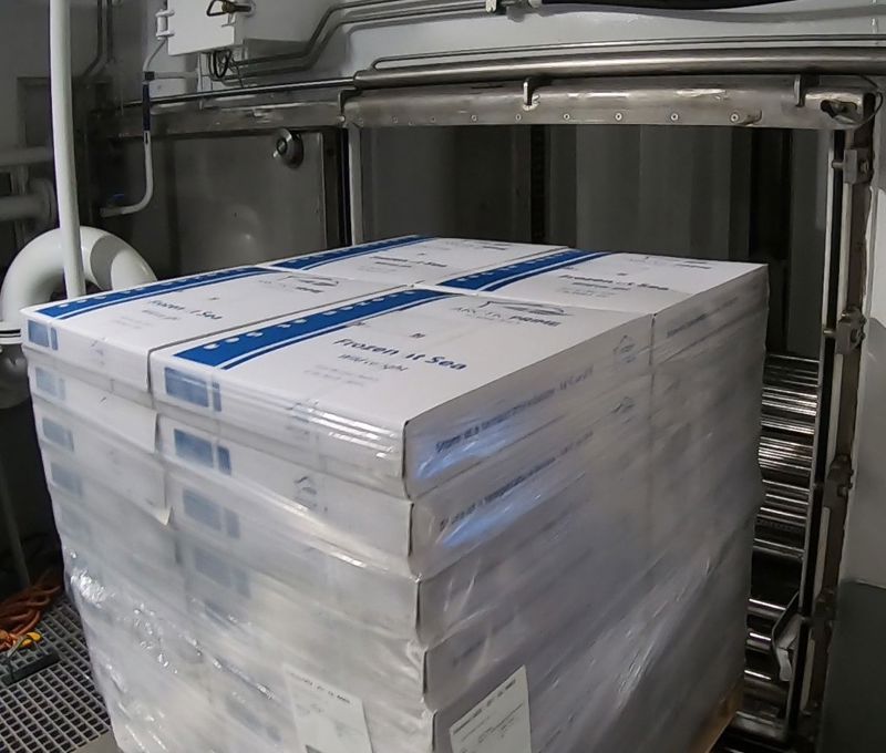 Carsoe CS4000 Palletizing Machine (CS4000 Palletizer)