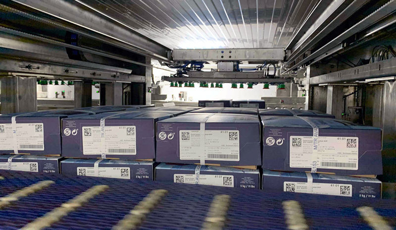 Carsoe CS4000 Palletizing Machine (CS4000 Palletizer)