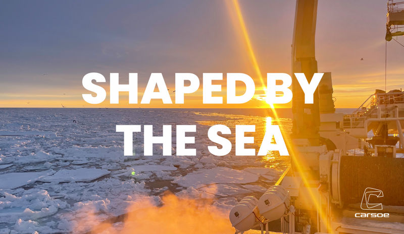 Carsoe Shaped by the sea image