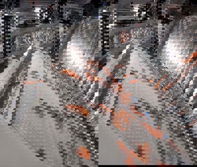 Carsoe Bycatch Separator 