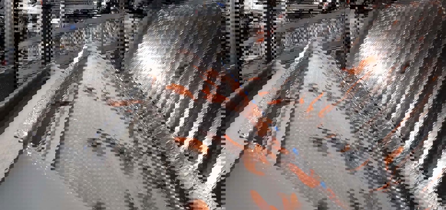 Carsoe Bycatch Separator