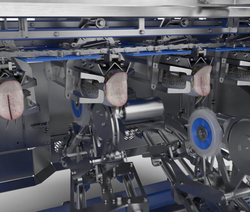 Heading And Gutting Machine from Carsoe