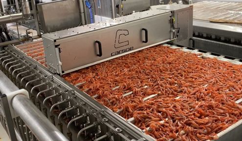 Product Compactor for Shrimp
