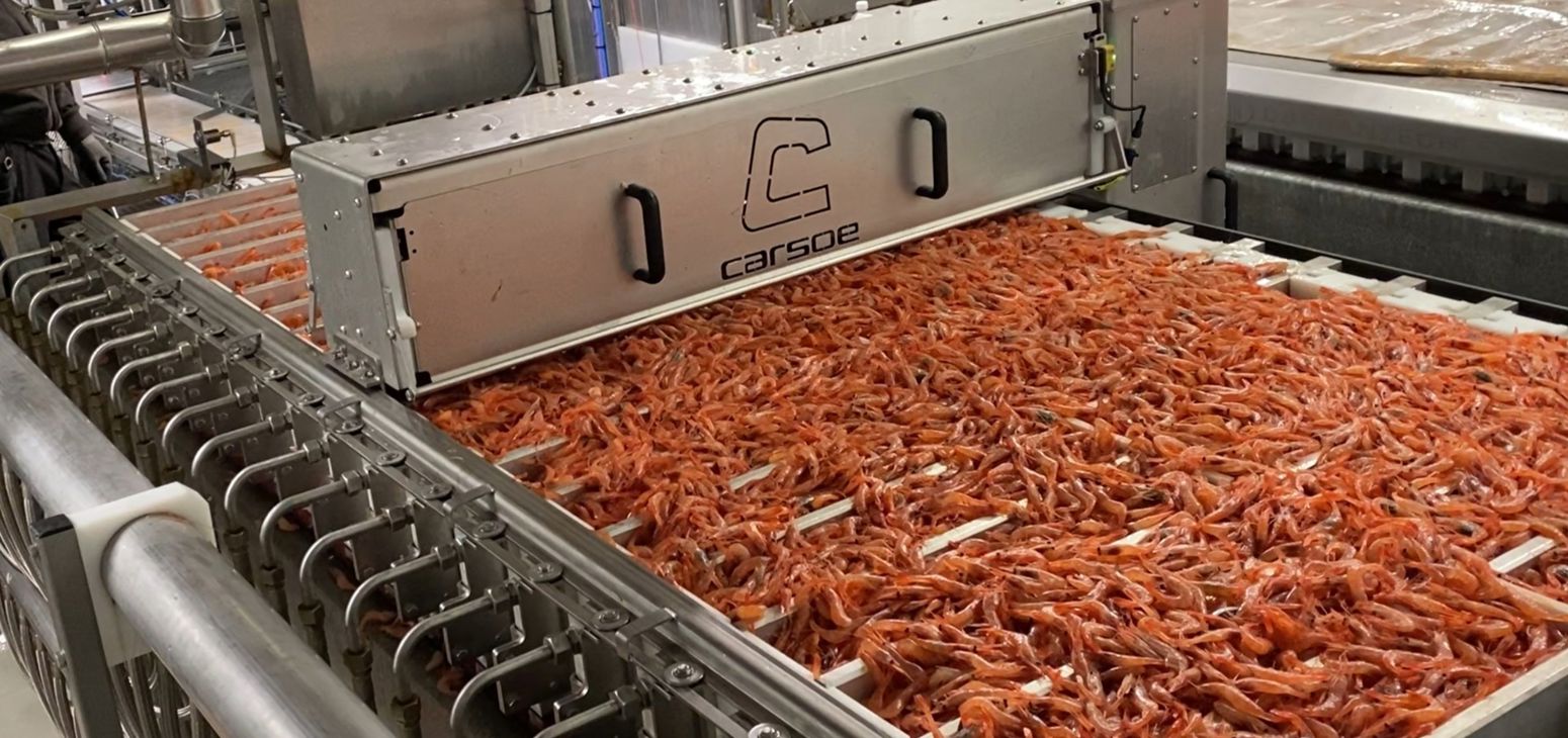 Product Compactor for Shrimp