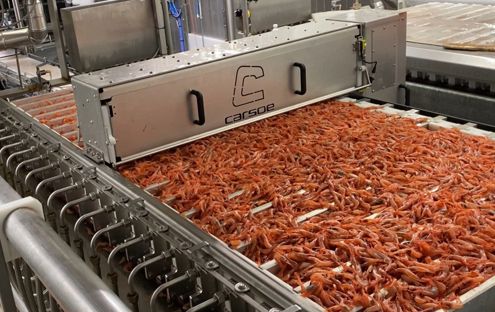 Product Compactor for Shrimp