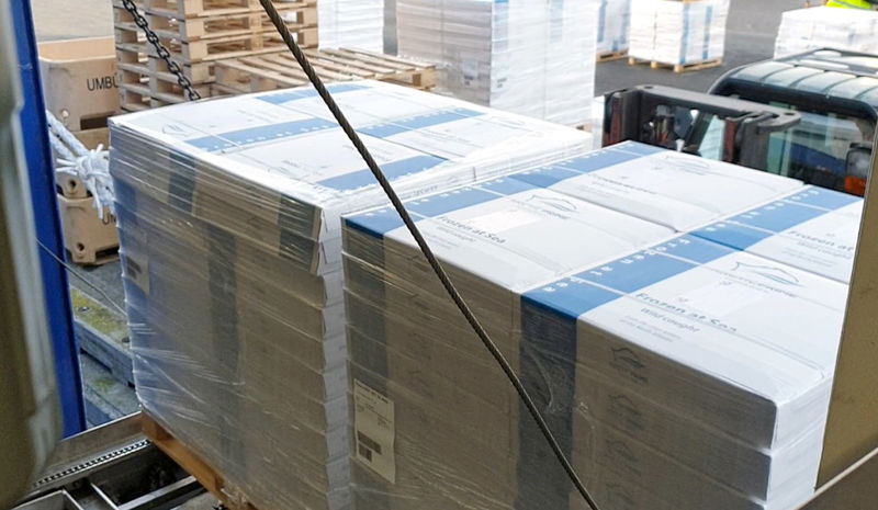 Carsoe Offloading Elevator CS4004