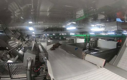 Carsoe Whitefish Cod Processing Factory Onboard