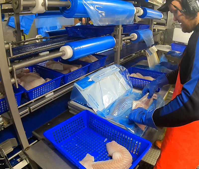 Carsoe Packing Line for Freezing Frames Live 3