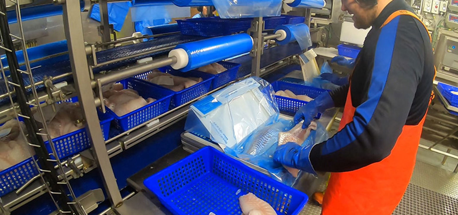 Carsoe Packing Line for Freezing Frames Live 3