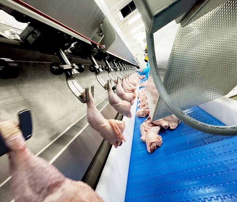 Poultry Processing Equipment - Carsoe