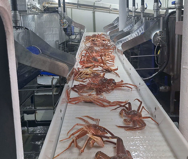 Carsoe Onboard Crab Factory