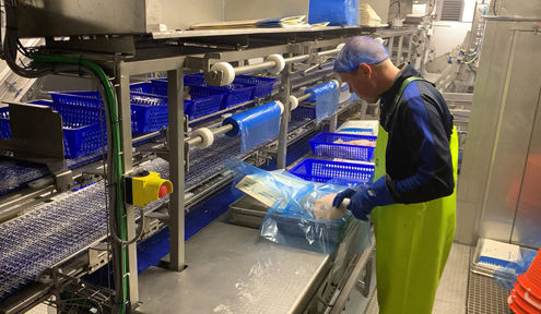 Carsoe Packing Line for Freezing Frames Live 1