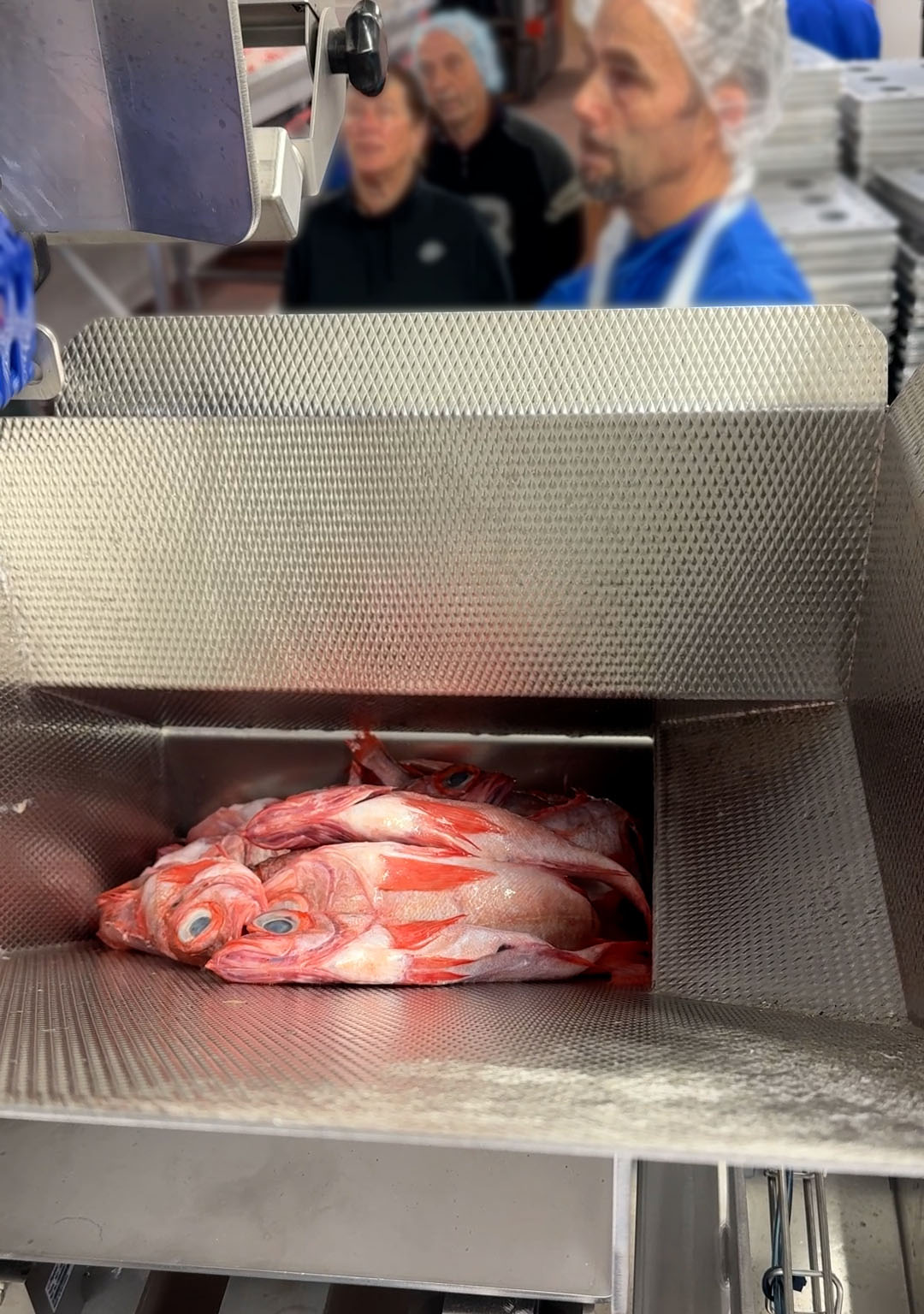 Mcgraw Seafood Installation Of Carsoe Factory