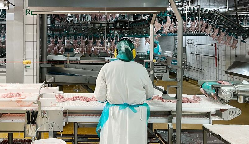 Poultry Processing Equipment - Carsoe