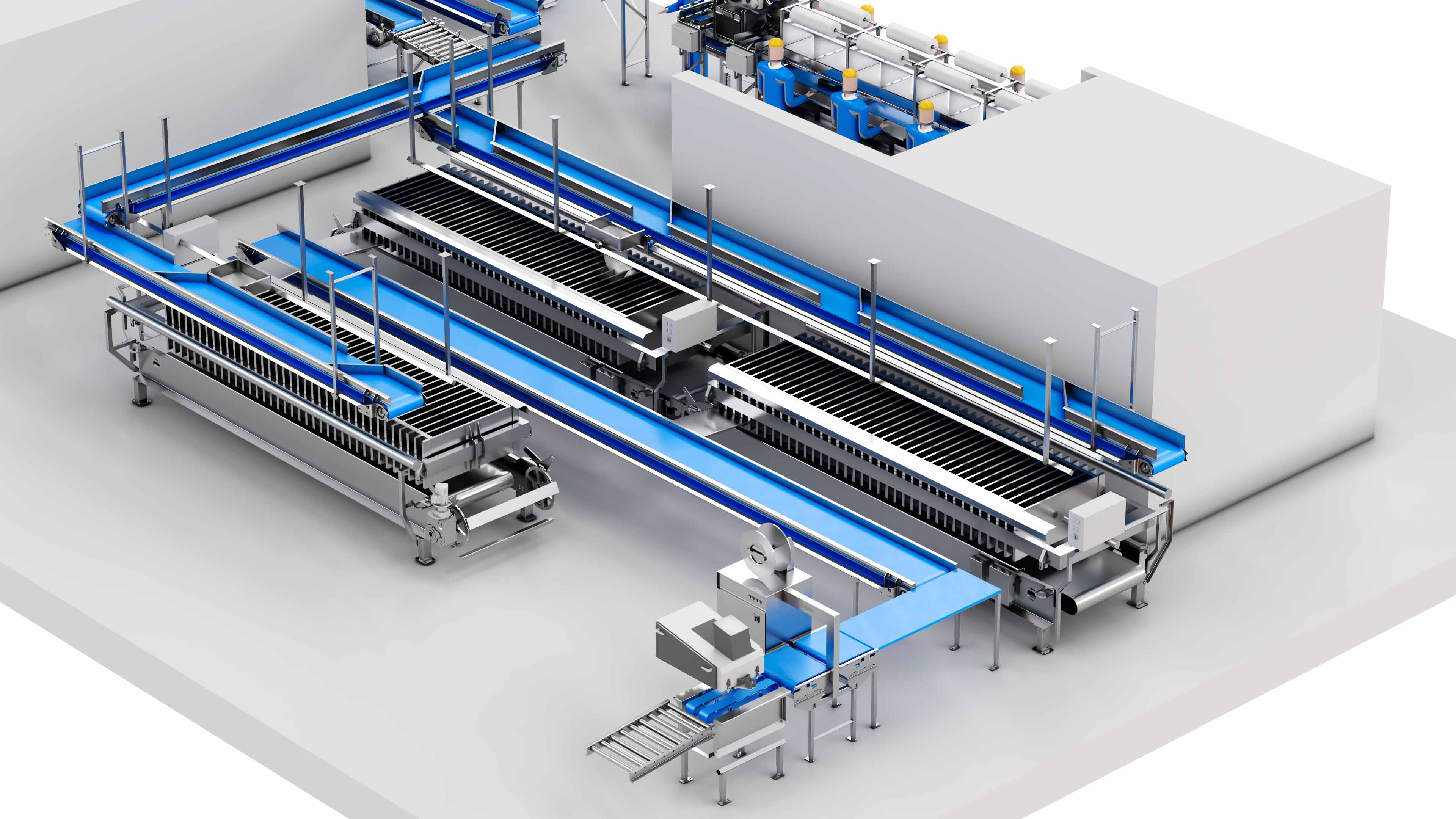 Carsoe Compact Fish Processing And Packing Illustration 2