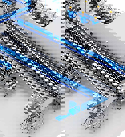 Carsoe Compact Fish Processing And Packing Illustration 2