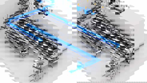 Carsoe Compact Fish Processing And Packing Illustration 2