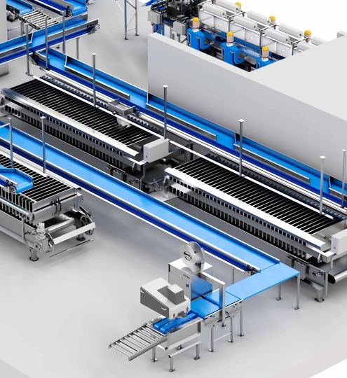 Fish Processing Packing Compact Fish Processing and Packing Line | Carsoe