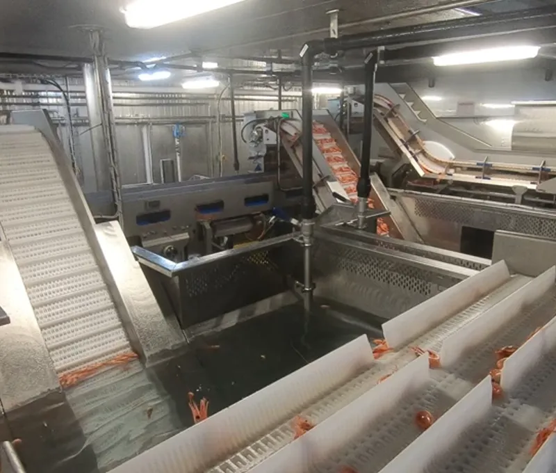 Carsoe Conveyor System