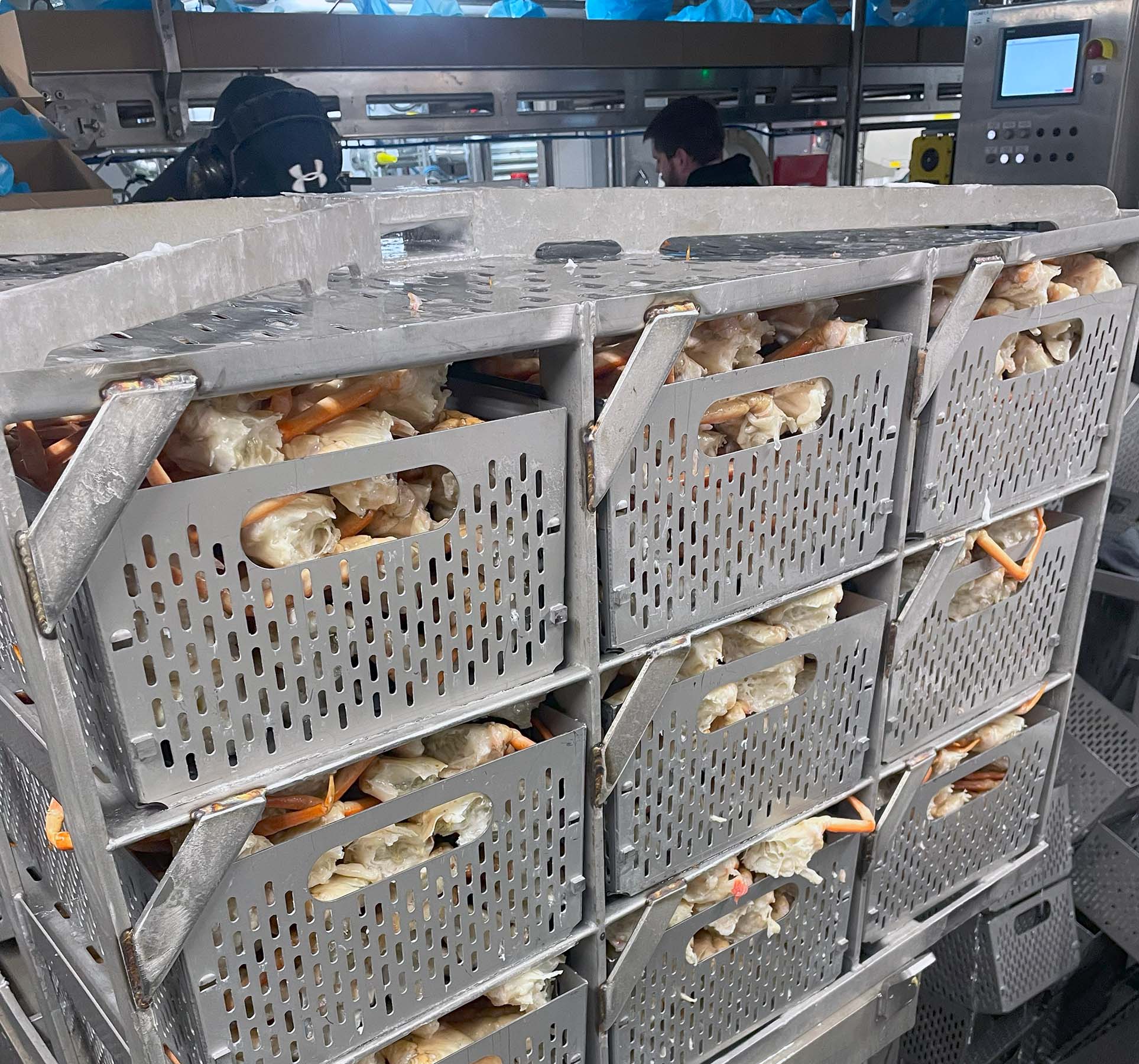 Frøyanes Crab Processing