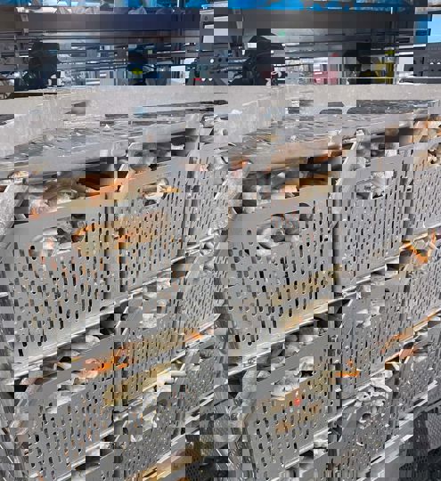 Frøyanes Crab Processing