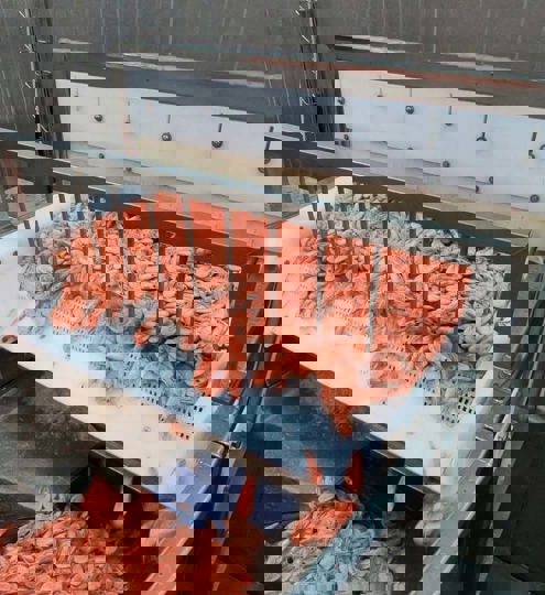 Carsoe IQF Tunnel Freezers CS2310 