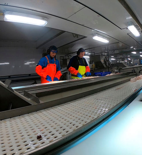 Carsoe Trimming Line Live 2