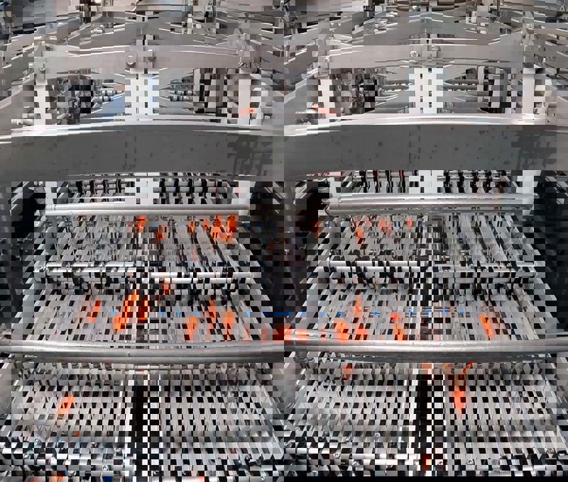 Carsoe Shrimp Grader CS1014