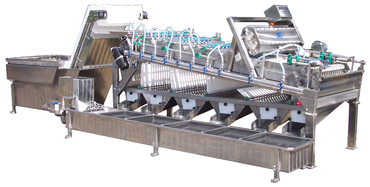 KM 1130 Shrimp Grading