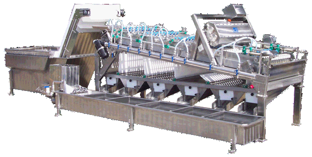 KM 1130 Shrimp Grading