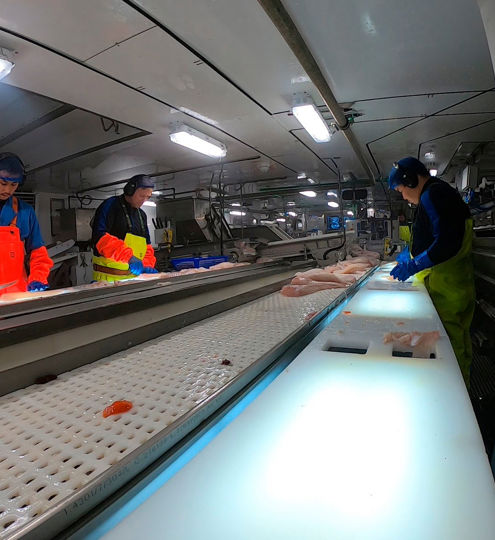 Carsoe Trimming Line Live 3