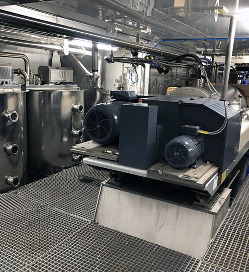 Carsoe Surimi Processing