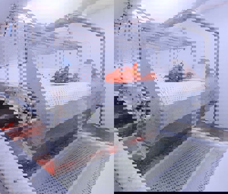 Carsoe Connie 1200 XL Lobster