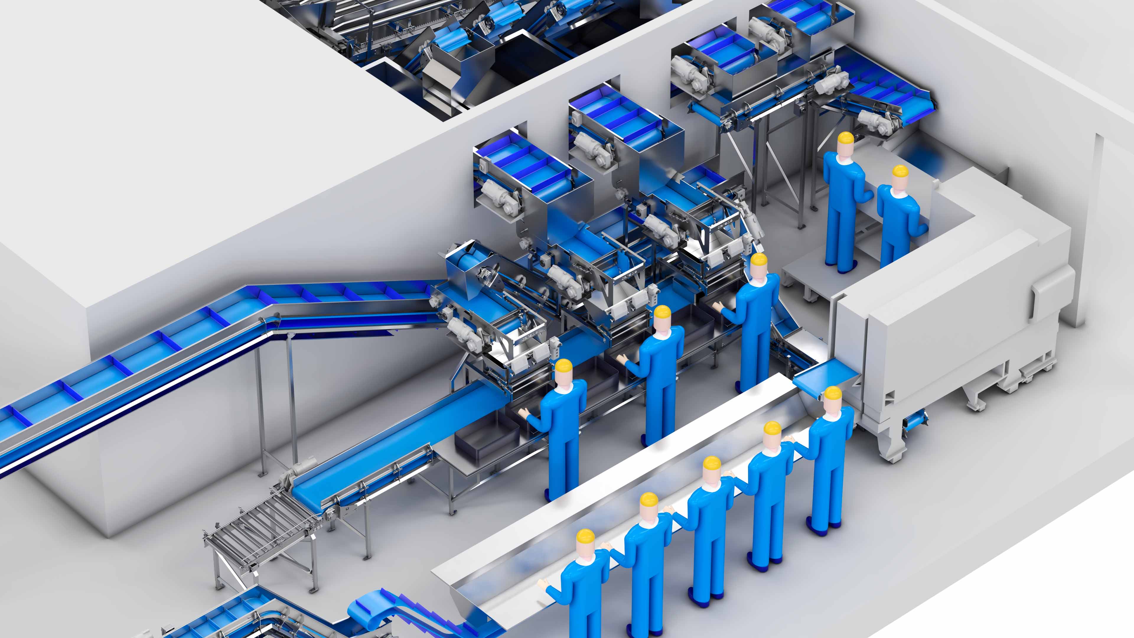 Carsoe Compact Fish Processing And Packing Illustration 3