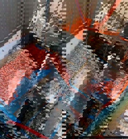 Carsoe IQF Tunnel Freezers CS2310 