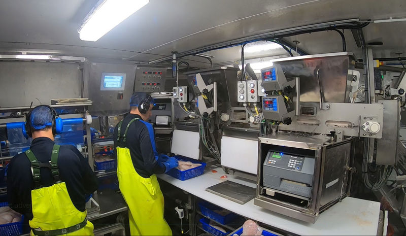 Carsoe Batching Lines For Fillets