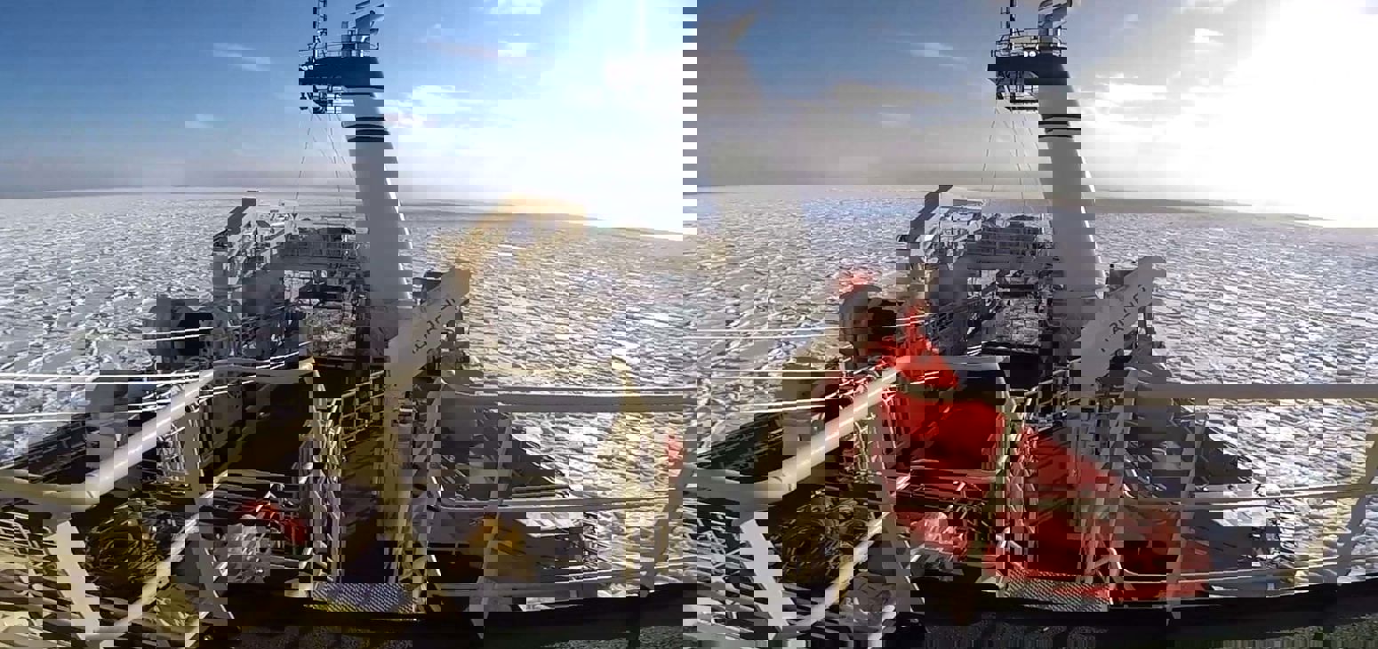 Carsoe Newfoundland Victor Video Image Low