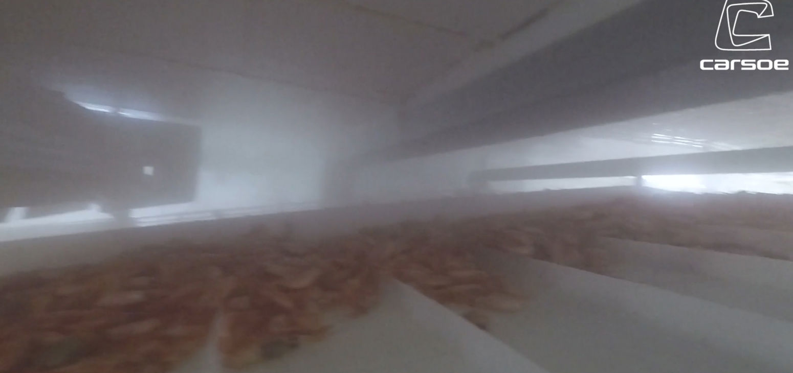 Carsoe onboard mtr sajoni video image