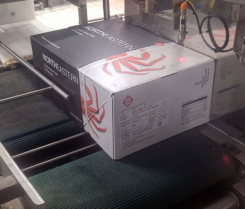 Carsoe onboard crab processing