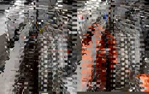 Carsoe Semi Automatic Japan Line Live 1