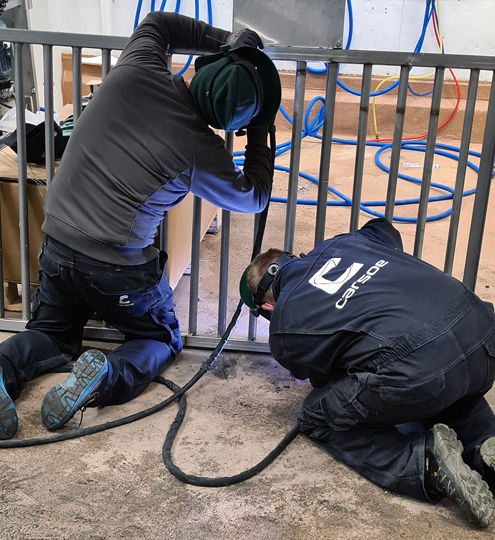 Carsoe Service Anytray Kronfagel 3 Low