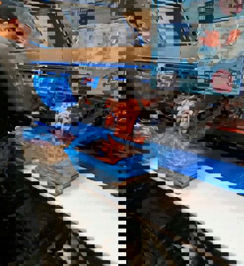 Carsoe Shrimp Weighing Hopper System Live 2