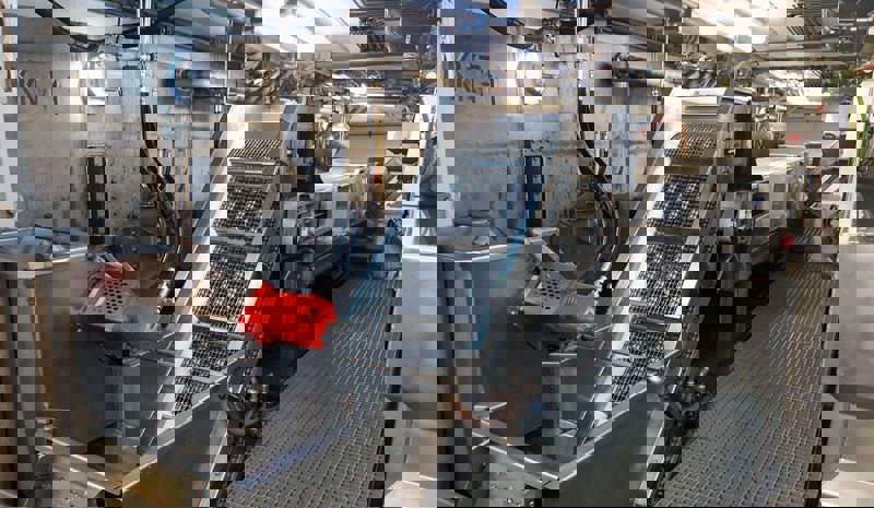 HD Fish Conveyor System