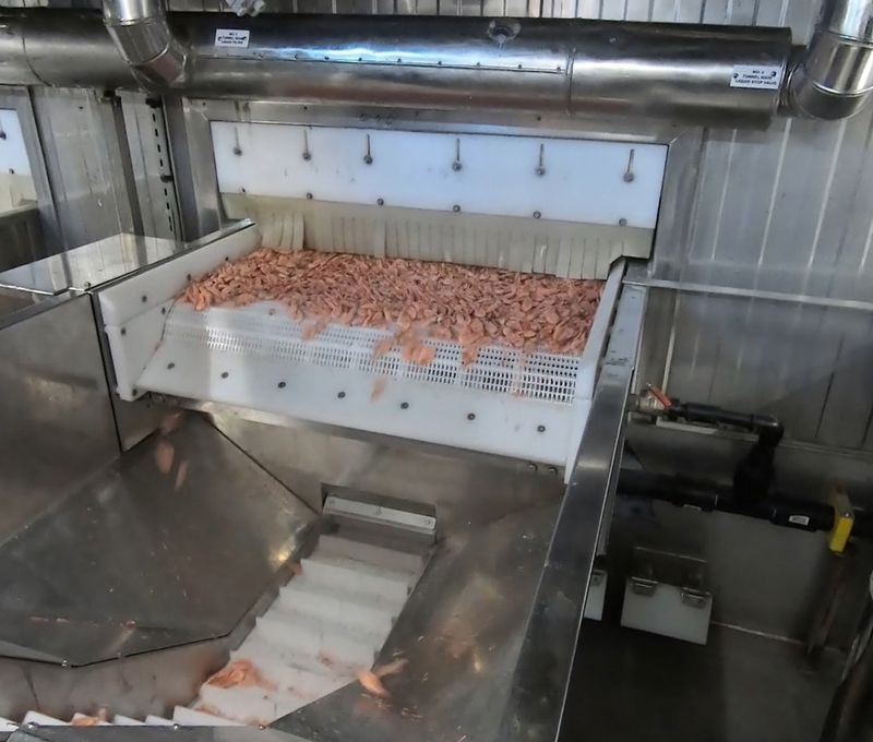 Carsoe IQF Tunnel Freezers CS2310