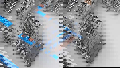 Carsoe Full Scale Processing, Freezing and Palletizing 2