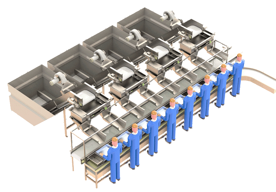 Carsoe Fish Weighing Hopper System