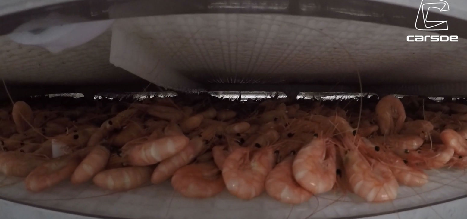 Carsoe Onboard Mtr Skagerak Video Image